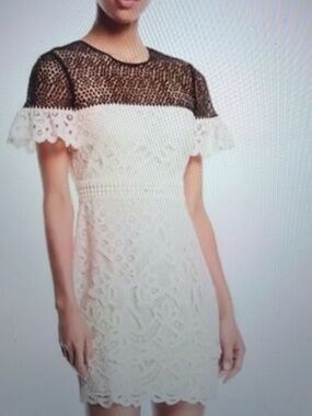Club Monaco dress